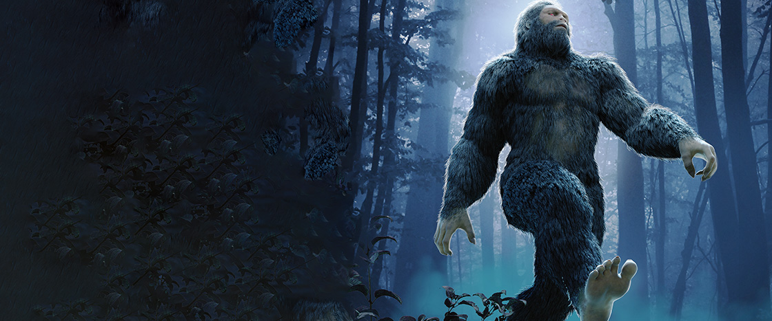 Illustration of Bigfoot walking in the woods at night