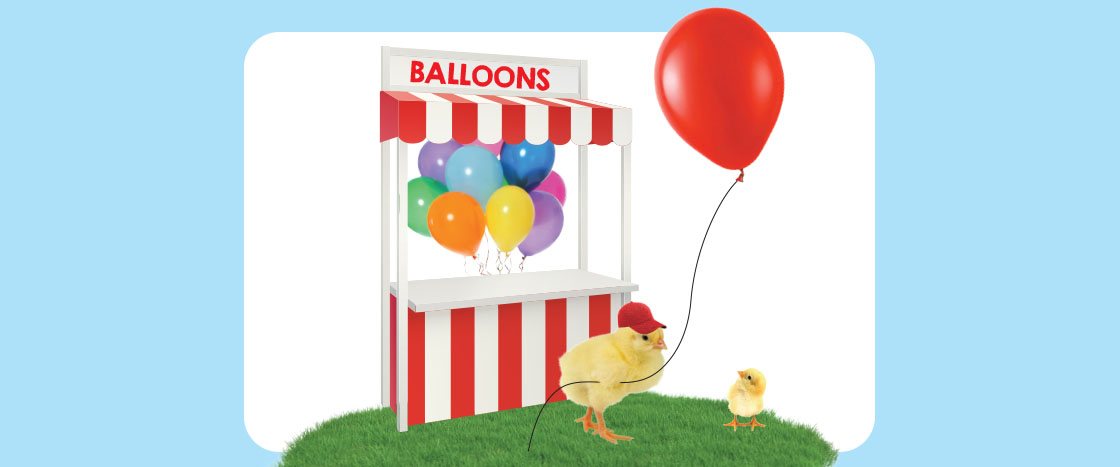 Image of chick getting balloon from balloon stand